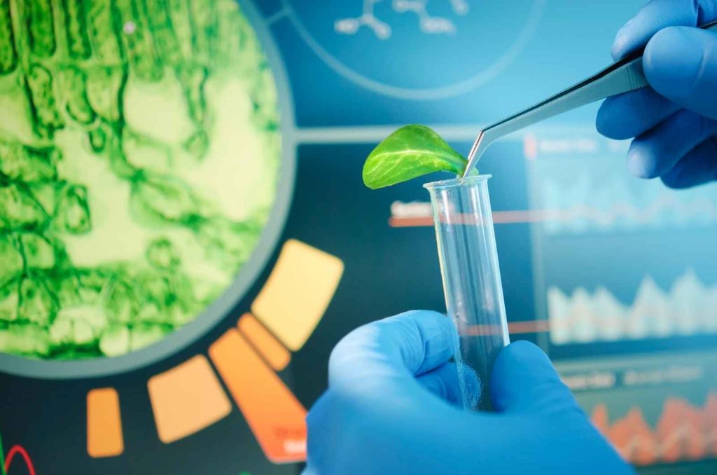 Biotechnology - Biotechfarm