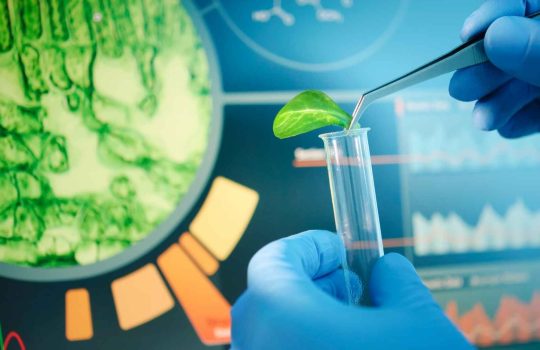 Biotechnology - Biotechfarm2